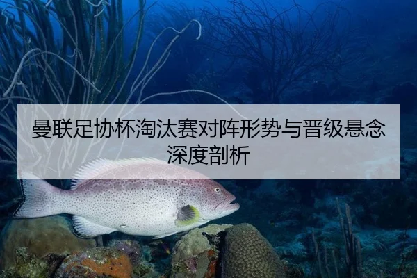 曼联足协杯淘汰赛对阵形势与晋级悬念深度剖析